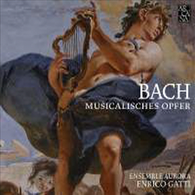 바흐: 음악의 헌정 (Bach: Musikalisches Opfer)(CD) - Enrico Gatti