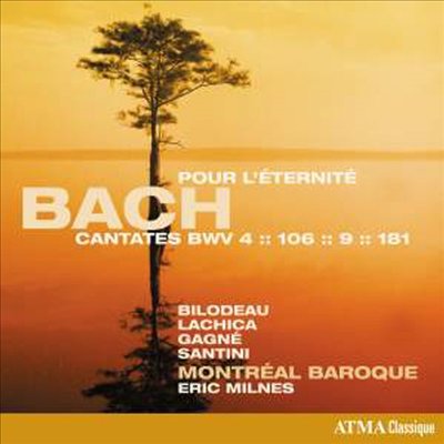 바흐: 종교 칸타타 6집 (Bach: Sacred Cantatas Vol.6)(CD) - Eric Milnes