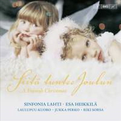 핀란드의 크리스마스 (A Finnish Christmas)(CD) - Esa Heikkila