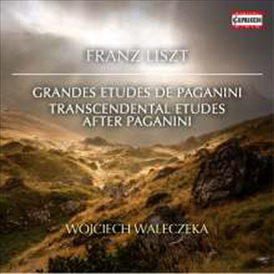 리스트: 파가니니 대 연습곡 1-6번, 초절기교 연습곡 1-6번 (Liszt: Grand Etudes De Paganini Nr.1-6 &amp; Etudes D&#39;execution Transcendante Nr.1-6)(CD) - Wojciech Waleczek