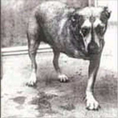 Alice In Chains - Alice In Chains (CD)