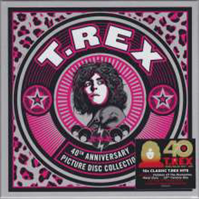 T. Rex - 40th Anniversary Picture Disc Collection (5 X 7 inch Single LP Box Set)