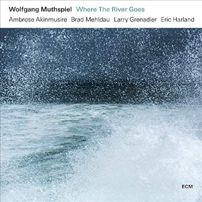 Wolfgang Muthspiel - Where The River Goes (180g LP)