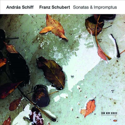 슈베르트: 피아노 소나타 19, 20번 & 즉흥곡 (Schubert: Piano Sonatas Nos.19, 20 & Impromptu) (2CD) - Andras Schiff