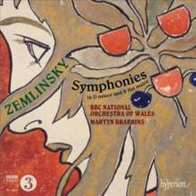쳄린스키: 교향곡 1번 &amp; 2번 (Zemlinsky: Symphonies Nos.1 &amp; 2)(CD) - Martyn Brabbins