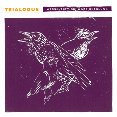 Bugge Wesseltoft, Henrik Schwarz & Dan Berglund - Trialogue (CD)