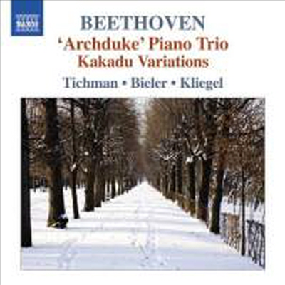 베토벤: 피아노 삼중주 7 &#39;대공&#39;, 8 &amp; 11번 (Beethoven: Piano Trios Nos.7 &#39;Archduke&#39; , 8 &amp; 11)(CD) - Xyrion Trio