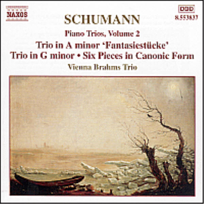 슈만 : 피아노 삼중주 (Schimann : Piano Trio Op.110, Op.88 &#39;Fantasiestucke&#39;)(CD) - Vienna Brahms Trio