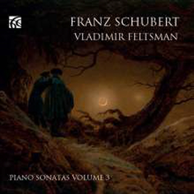 슈베르트: 피아노 소나타 8번 & 19번 (Schubert: Piano Sonatas Nos.8 & 19)(CD) - Vladimir Feltsman