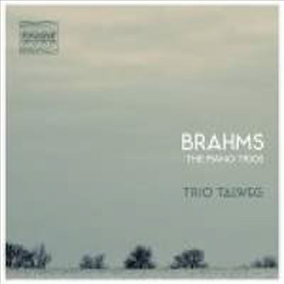 브람스: 피아노 삼중주 1번 - 3번 (Brahms: Piano Trios Nos.1 - 3 Complete) (2CD) - Trio Talweg