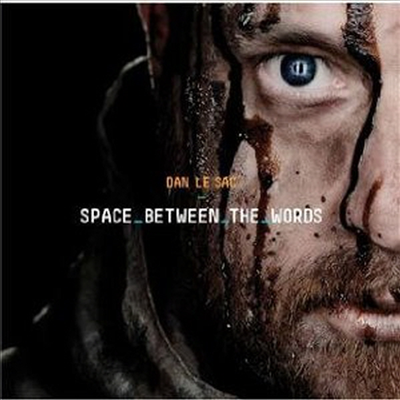 Dan Le Sac - Space Between The Words (CD)