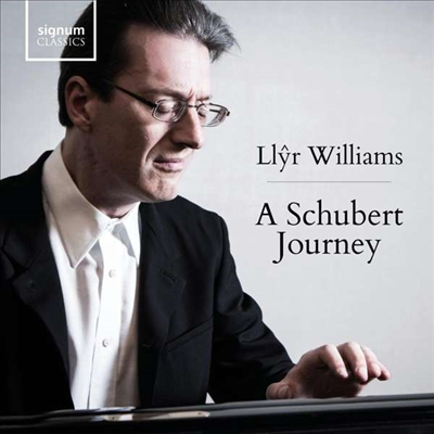 릴라이어 윌리엄스 - 슈베르트 피아노 작품집 (Llyr Williams - A Schubert Journey: Piano Works) (8CD Boxset) - Llyr Williams