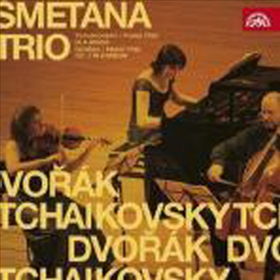 차이코프스키 : 피아노 트리오 A단조 & 드보르작 : 피아노 트리오 2번 G단조 (Tchaikovsky : Piano Trio In A Minor,Op.50)(CD) - Jan Palenicek