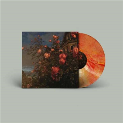 John Bence - Love (Ltd. Ed)(Blood Orange LP)