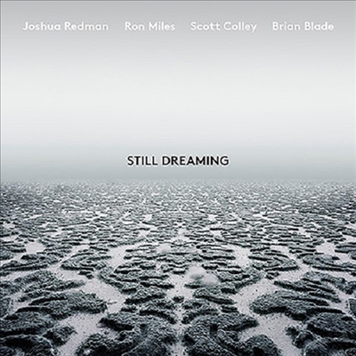 Joshua Redman - Still Dreaming (CD)