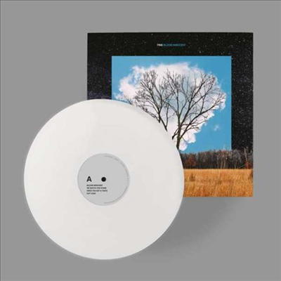 Fink - Bloom Innocent (MP3 Download)(White LP)