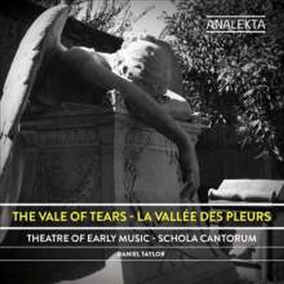 스콜라 칸토룸 - 눈물의 골짜기 (Schola Cantorum - The Vale Of Tears)(CD) - Schola Cantorum