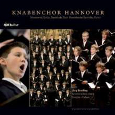 하노버 소년합창단의 모든것 (Knabenchor Hannover)(CD) - Jorg Breiding