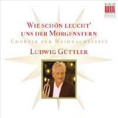 합창으로 듣는 크리스마스 (Chorale zur Weihnachtszeit)(CD) - Ludwig Gutter