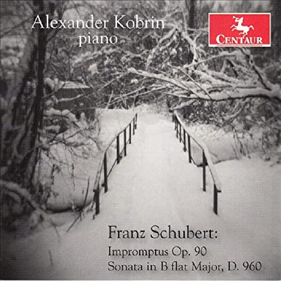 슈베르트: 즉흥곡, 피아노 소나타 21번 (Schubert: Impromptus Op.90, Piano Sonata D.960)(CD) - Alexander Kobrin