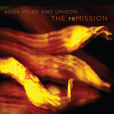 Andy Milne - The Remissiion (CD)