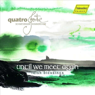 아이랜드 축복 - 우리가 다시 만날 때까지 (Irish Blessings - Until we meet again)(CD) - Alexander Gutinger