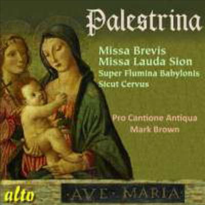 팔레스트리나: 미사곡집 (Palestrina: Missa Brevis & Lauda Sion)(CD) - Mark Brown