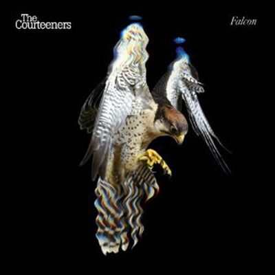 Courteeners - Falcon (CD)