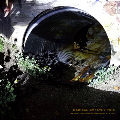 Radical Empathy Trio - Reality & Other Imaginary Places (CD)