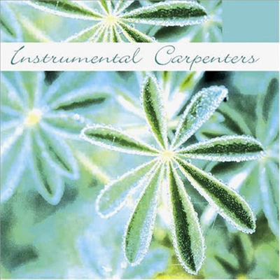 Various Artists - Instrumental Carpenters (CD)