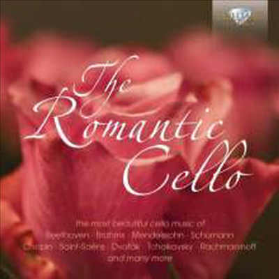 로멘틱 첼로 - 협주곡과 소나타 (The Romantic Cello - Conccertos & Sonatas) (5CD Boxset) - 여러 아티스트