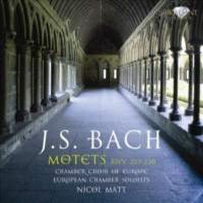 바흐 : 모테트 BWV225-230 (Bach : Motets, BWV225-230)(CD) - Nicol Matt