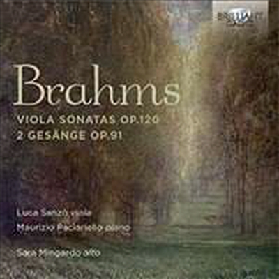 브람스: 비올라 소나타 1번 &amp; 2번 (Brahms: Viola Sonatas Nos.1 &amp; 2)(CD) - Luca Sanzo