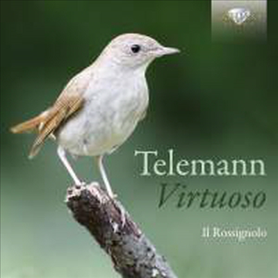 텔레만의 비르투오소 (Telemann - Virtuoso)(CD) - Il Rossignolo