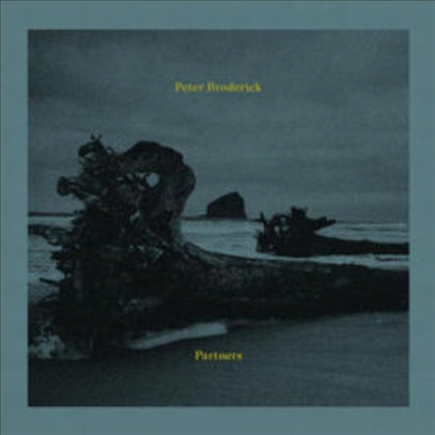 Peter Broderick - Partners (Download Card)(With Booklet)(Vinyl LP)