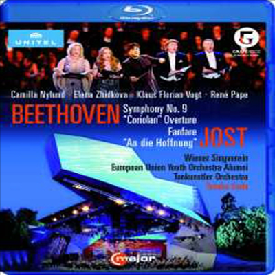 2016 그레페넥 페스티벌 10주년 기념 공연 - 베토벤: 교향곡 9번 &#39;합창&#39; (10th Anniversary of the Grafenegg Festival 2016 - Beethoven: Symphony No.9 &#39;Choral&#39;) (한글자막)(Blu-ray) (2017) - Yutaka Sado