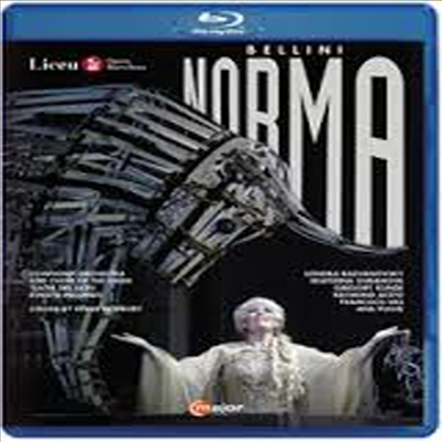 벨리니: 오페라 &#39;노르마&#39; (Bellini: Opera &#39;Norma&#39;) (한글자막)(Blu-ray) (2016) - Renato Palumbo