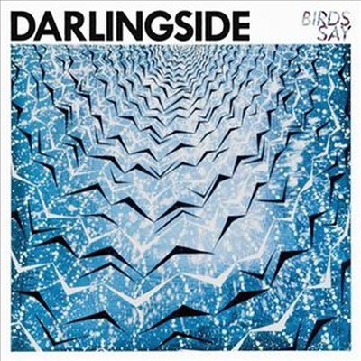 Darlingside - Birds Say (CD)