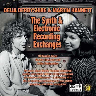 Delia Derbyshire / Martin Hannett - The Synth &amp; Electronic Recording Exchanges (CD)