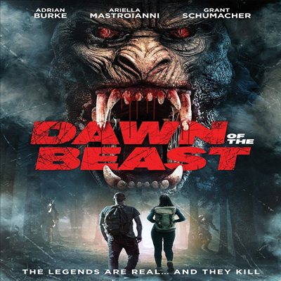 Dawn Of The Beast (던 오브 더 비스트)(지역코드1)(한글무자막)(DVD)