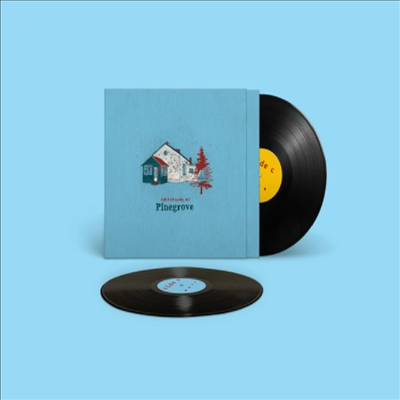 Pinegrove - Amperland, NY (Gatefold 2LP)