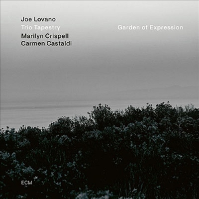 Joe Lovano - Garden Of Expression (LP)