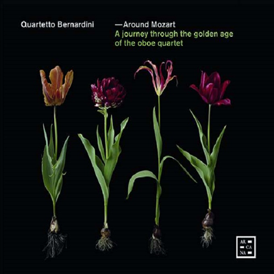 J.C.바흐 &amp; 모차르트: 오보에 사중주 (Around Mozart - A Journey Through the Golden Age of the Oboe Quartet)(CD) - Quartetto Bernardini