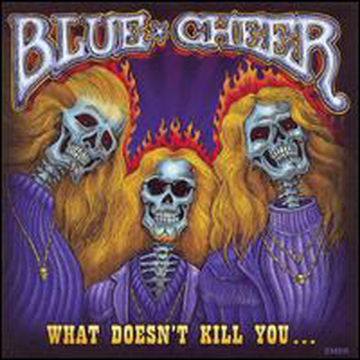 Blue Cheer - What Doesn&#39;t Kill (CD)