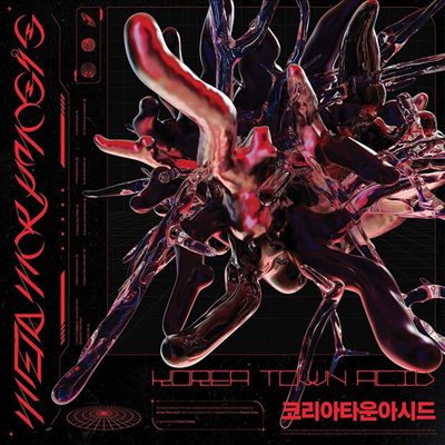 Korea Town Acid - Metamorphosis (LP)