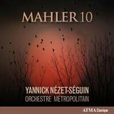 말러: 교향곡 10번 (Mahler: Symphony No. 10 in F sharp major - completed D Cooke, 1976)(CD) - Yannick Nezet-Seguin