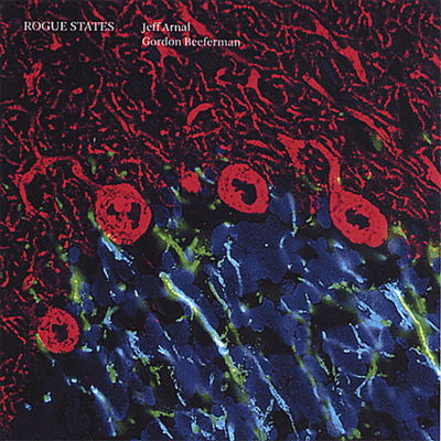 Jeff Arnal / Gordon Beeferman - Rogue States (CD)