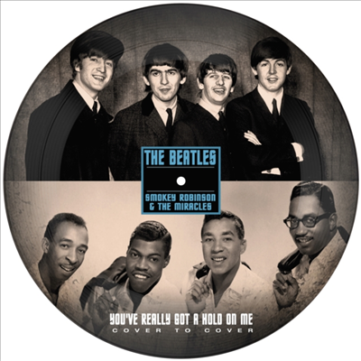 Beatles/Smokey Robinson & The Miracles - You've Really Got A Hold On Me (7 Inch Picture Single LP)