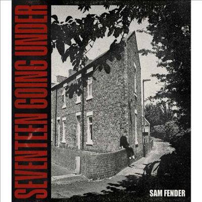 Sam Fender - Seventeen Going Under (180g Gatefold LP)