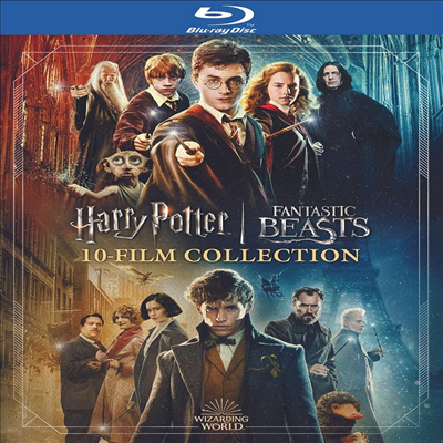 Wizarding World 10-Film Collection (해리 포터 시리즈 8편 / 신비한 동물사전 시리즈 2편)(한글무자막)(Blu-ray)